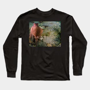 An Octopus Protects Its Bottle Long Sleeve T-Shirt